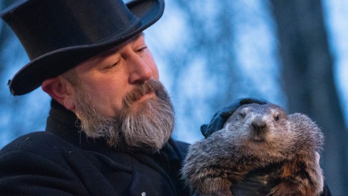 Groundhog rescued after hitch-hiking through Greater Portland